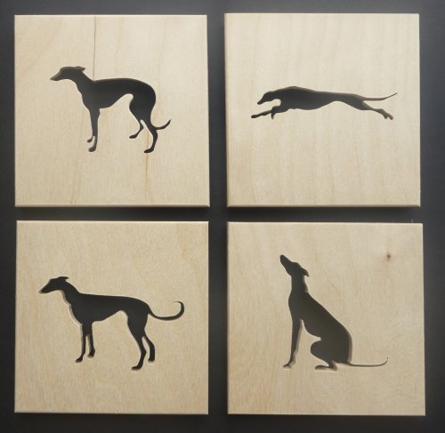 Greyhound Design