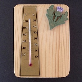 Mini Thermometer