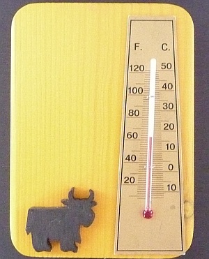 Mini Thermometer