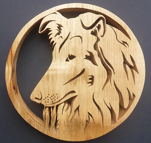 rough haired collie