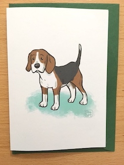 Beagle