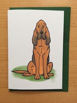 Bloodhound