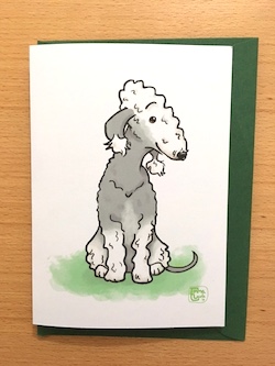 Bedlington terrier