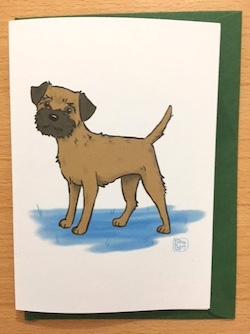 Border terrier