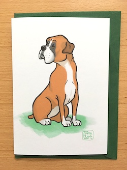Boxer