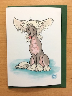 Chinese Crested