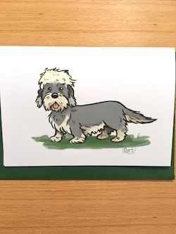 Dandie Dinmont