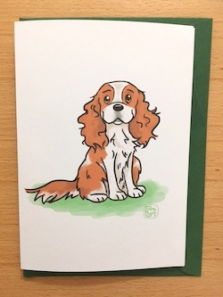 Cavelier King Charles Spaniel