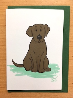 Labrador
