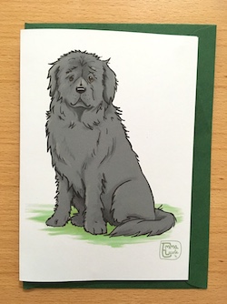 Newfoundland