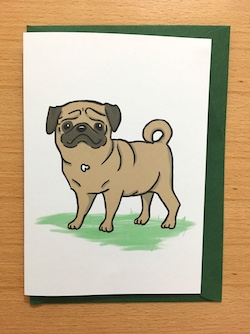 Pug