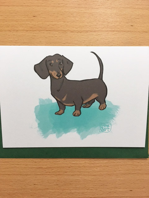 smooth haired dachshund