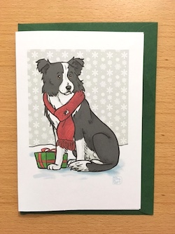 Border Collie