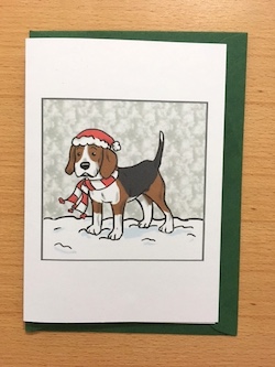 Beagle