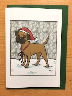 Border terrier