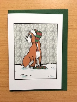 Boxer