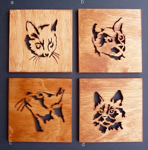 cat Design