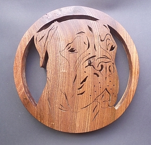 bull mastiff