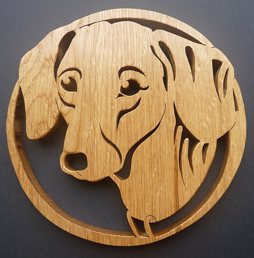 dachshund
