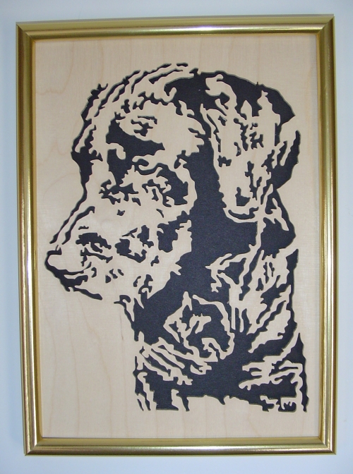 Black Lab picture